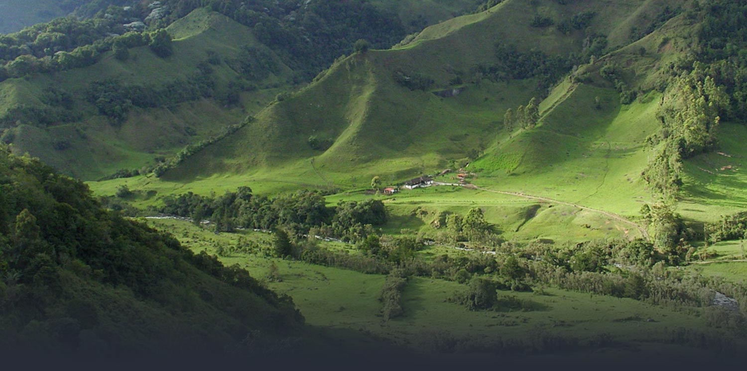 Stikke ud Spiller skak frynser Outdoors - Nature Paradise Colombia | SAT